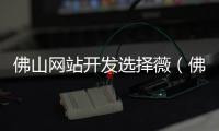 佛山网站开发选择薇（佛山网站建设推荐）