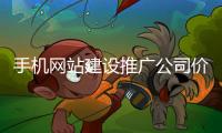 手机网站建设推广公司价格（网站建设公司怎么推广）