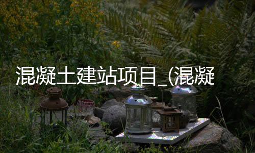 混凝土建站项目_(混凝土建站项目有哪些)