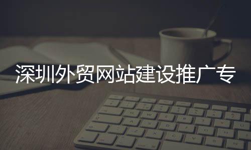 深圳外贸网站建设推广专家(深圳外贸网站制作)