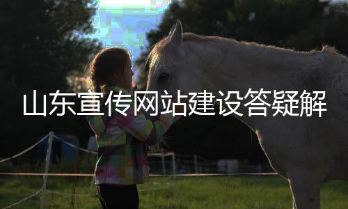 山东宣传网站建设答疑解惑(山东宣传网投稿)