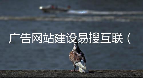 广告网站建设易搜互联(易搜推广)