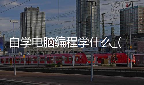 自学电脑编程学什么_(自学电脑编程学什么专业)