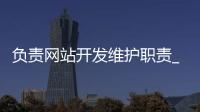 负责网站开发维护职责_(网站开发与维护工资多少)