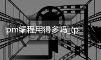 pm编程用得多吗_(pm编程用得多吗为什么)